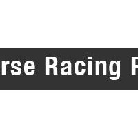 Портфолио HorseRacingPro